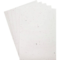 Paquet de 5 feuilles ensemencées format A4