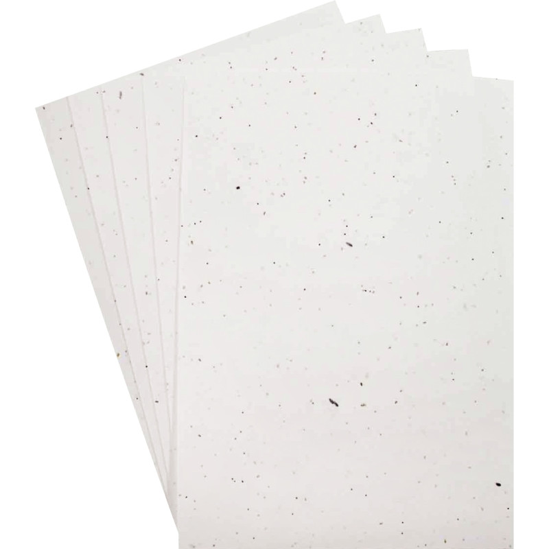Paquet de 5 feuilles ensemencées format A4