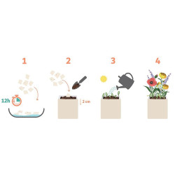 Paquet de 5 feuilles ensemencées format A4