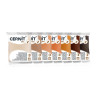 Pâte polymère Doll 50gr - Nougat