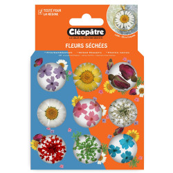 Boite de 9 pots d'accessoires - Fleurs séchées