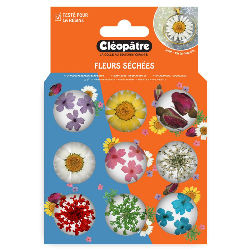 Boite de 9 pots d'accessoires - Fleurs séchées