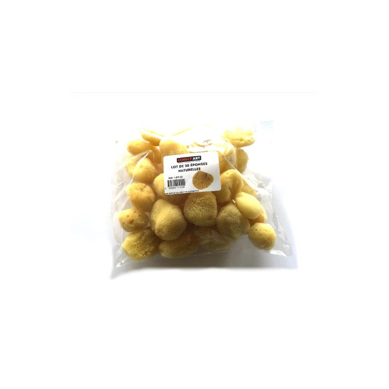 Sachet de 25 mini-éponges naturelles Corect'Art