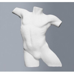 Buste homme polystyrène