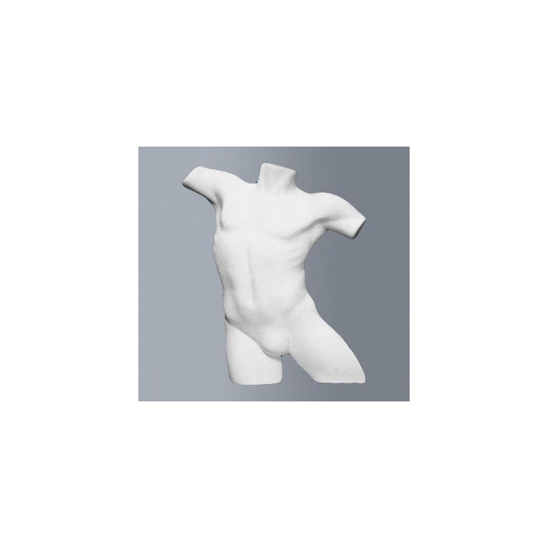 Buste homme polystyrène