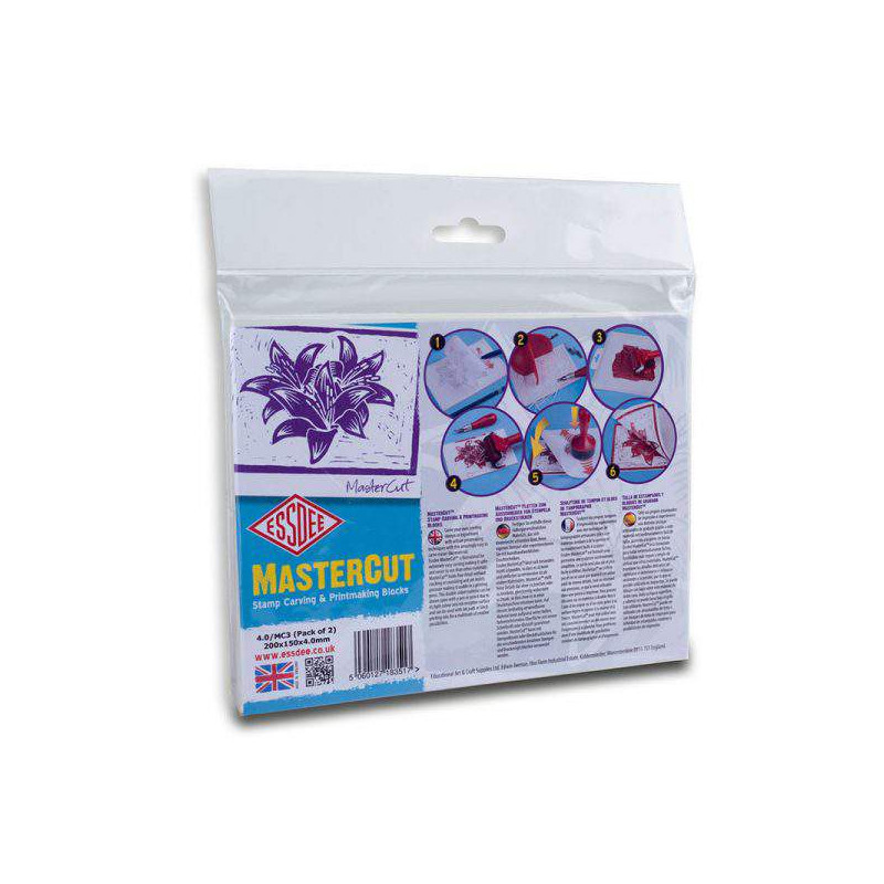 Pochette plaques gomme 200 x 100 x 4 mm (x2) Mastercut
