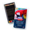 Boîte métal 12 crayons de couleurs Chromaflow