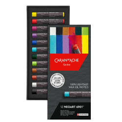 Set de 12 pastels Expert Neoart 6901