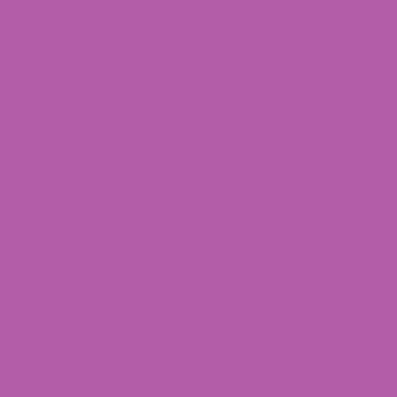 Protège-documents COLOR FRESH 60 vues, violet