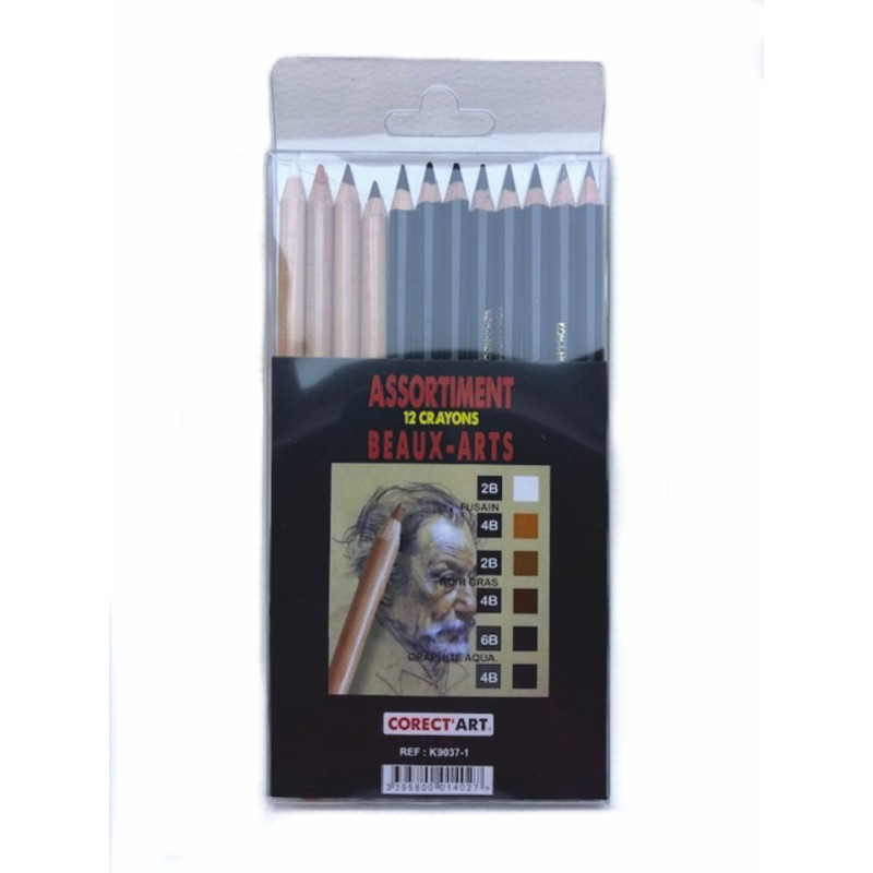 Etui de 12 crayons Beaux-Arts - Teintes brunes & noires