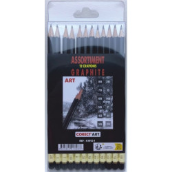 Etui de 12 crayons Graphite Toison d'or Art - 8B à HB