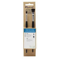Set fond plat de 2 pinceaux aquarelle