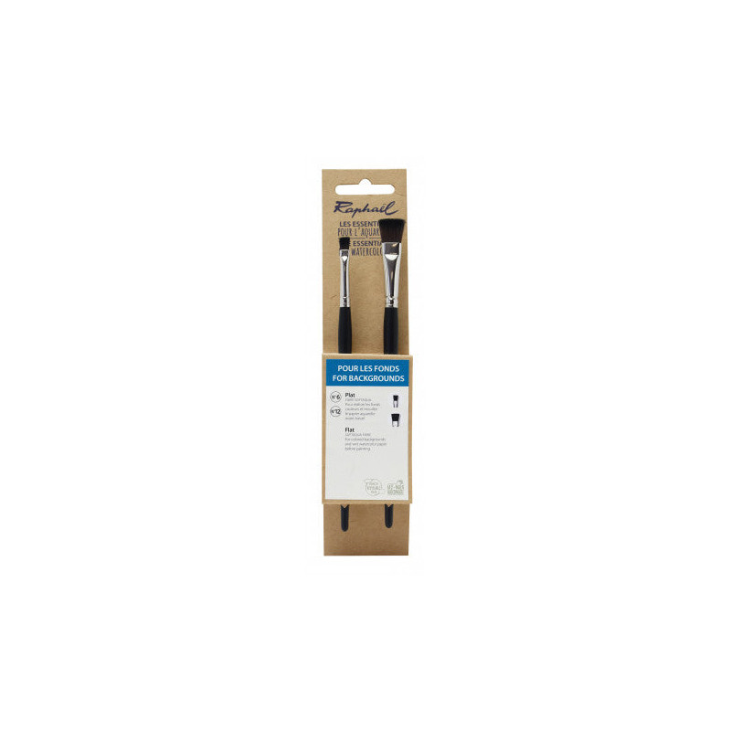 Set fond plat de 2 pinceaux aquarelle