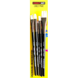 Pochette de 5 brosses assorties