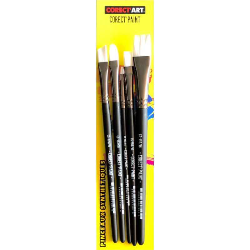 Pochette de 5 brosses assorties