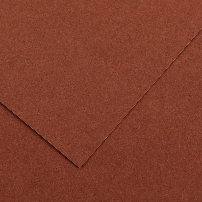 Paquet de 10 feuilles Colorline 50x65 cm 150 g chocolat