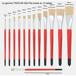 Pinceau scolaire Tri Star 308 Plat - 12 tailles - N°10