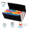 Trieur extensible format chèque RAINBOW CLASS en polypropylène, 12 com