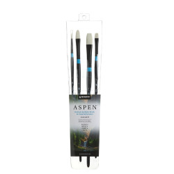 Set de 4 brosses ASPEN 6500