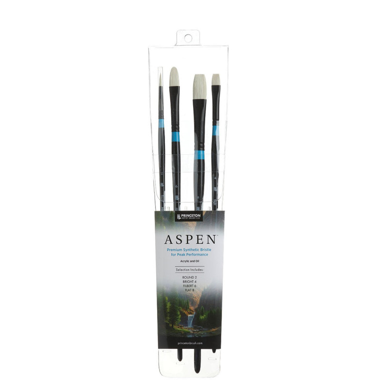 Set de 4 brosses ASPEN 6500