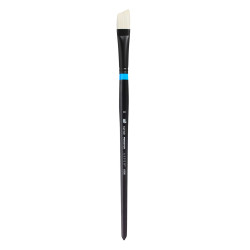 Brosse ASPEN série 6500 Biseau manche long n°10