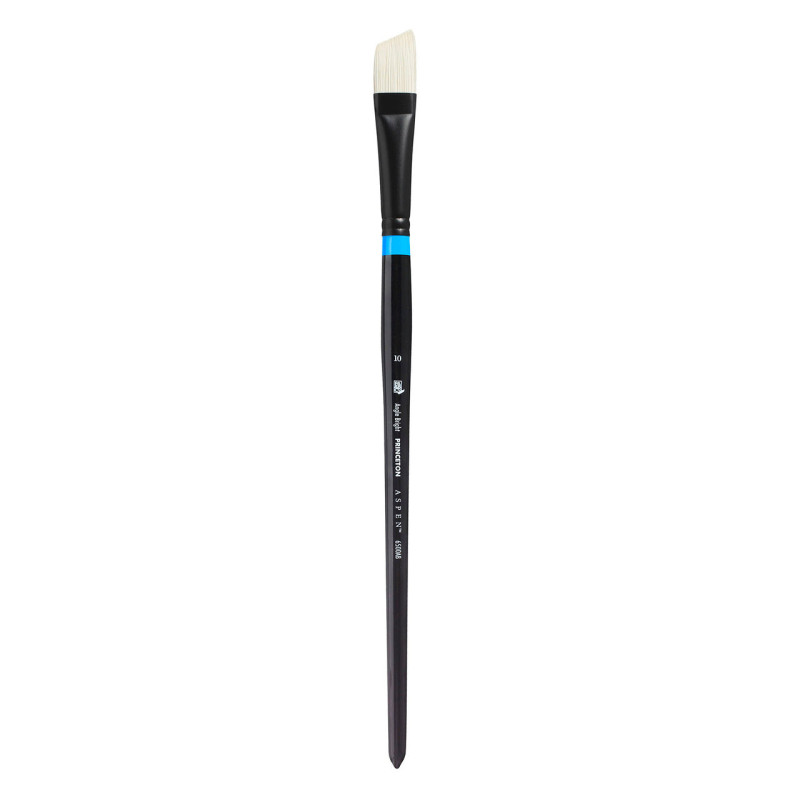 Brosse ASPEN série 6500 Biseau manche long n°10