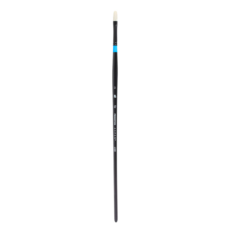 Brosse ASPEN série 6500 Plat manche long - Brosse ASPEN 6500 plat N°6