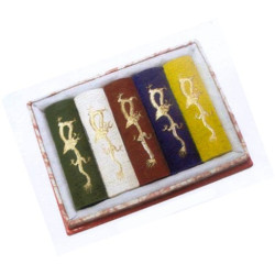 Bâtons d'encre de Chine 5 pièces de 31g couleurs assorties