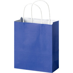 Lot de 20 sacs en kraft coloré