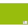 Cartons 50 x 65 cm couleur fluo 170gr/m² - Vert Pomme