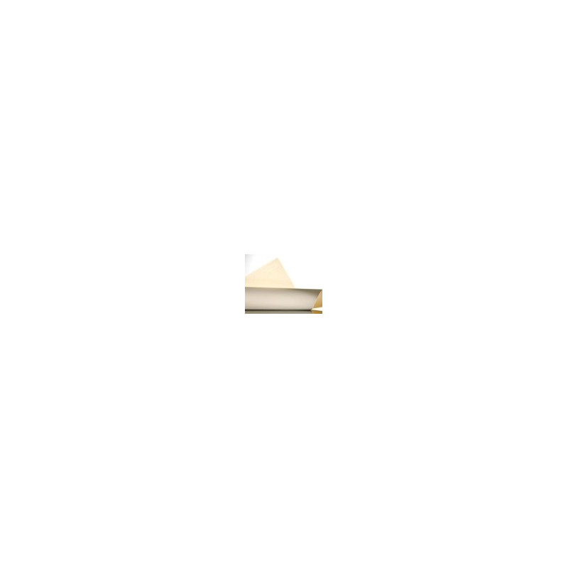 Feuille papier velin d'Arches blanc 56 x 76 cm 250 g/m²