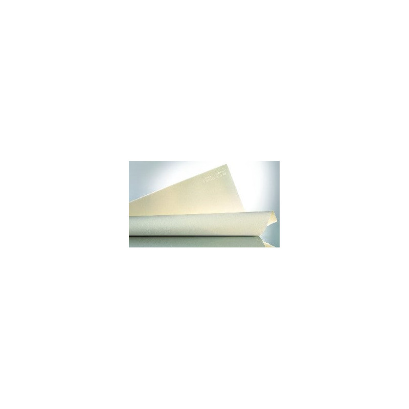 Feuille BFK Rives 56x76 250g/m², 4 bords frangés, grain fin léger blan
