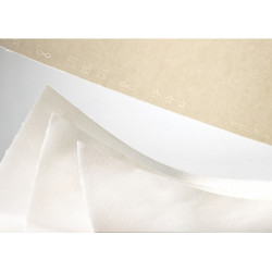 Feuille Ingres Mbm Arches 50X65 130G