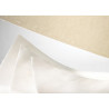 Feuille Ingres Mbm Arches 50X65 130G