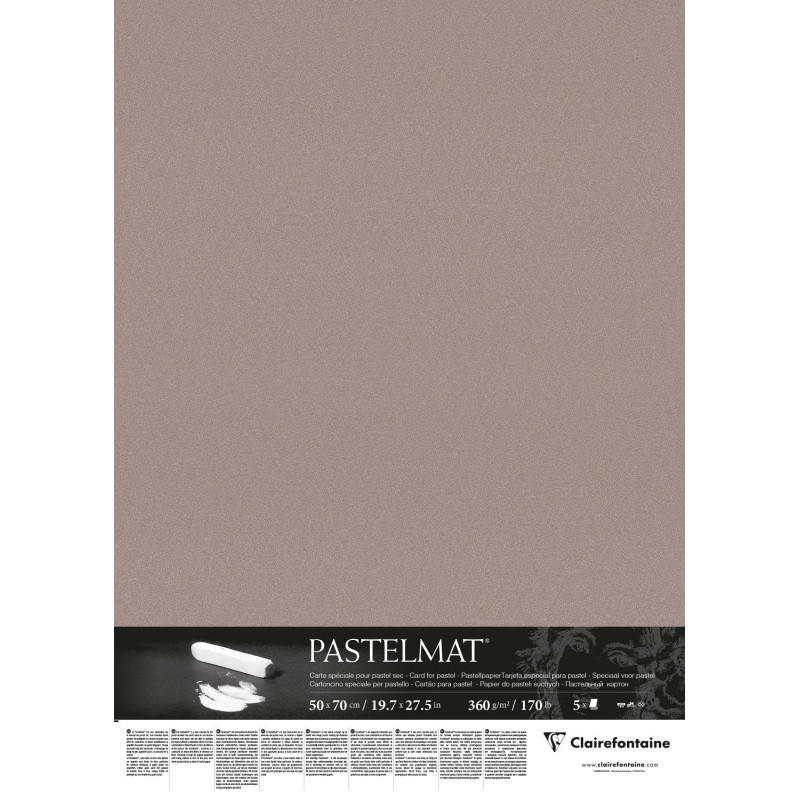 Feuille Pastelmat 50x70 cm 360g - Gris clair
