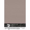 Feuille Pastelmat 50x70 cm 360g - 011 Brun