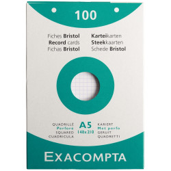 Etui de 100 fiches bristol perforées carte forte 205 g blanc quadrillé