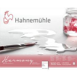 Papier Aquarelle Harmony Grain Fin, 300g/m² - Bloc collé 4 cotés 12 fe