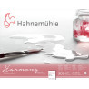 Papier Aquarelle Harmony Grain Fin, 300g/m² - Album spiralé petit côté