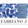 Bloc Fabriano 5 - 300gr - 20 feuilles - Grain torchon - 4 formats - 26