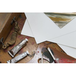 Papier Figueras 290g/m² - Canson - Feuilles - 290g - 65x100cm