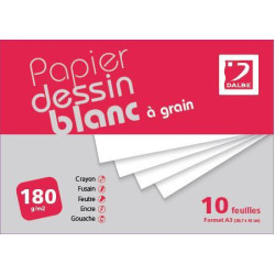Pochette DB à grain dessin blanc - A3 224g 10F