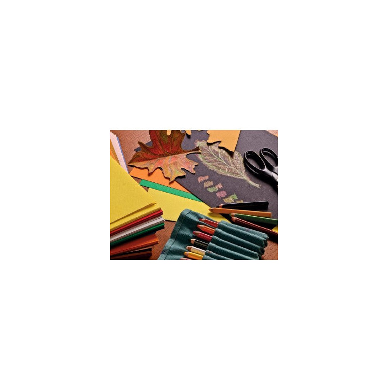Papier Tiziano - 160g/m² - 50x65 cm - 40 couleurs - 013 Sauge
