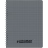 Reliure intégrale 100 pages CONQUERANT, 17x22 cm, seyès, couverture po