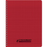 Reliure intégrale 100 pages CONQUERANT, 17x22 cm, seyès, couverture po