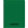 Reliure intégrale 100 pages CONQUERANT, 17x22 cm, seyès, couverture po