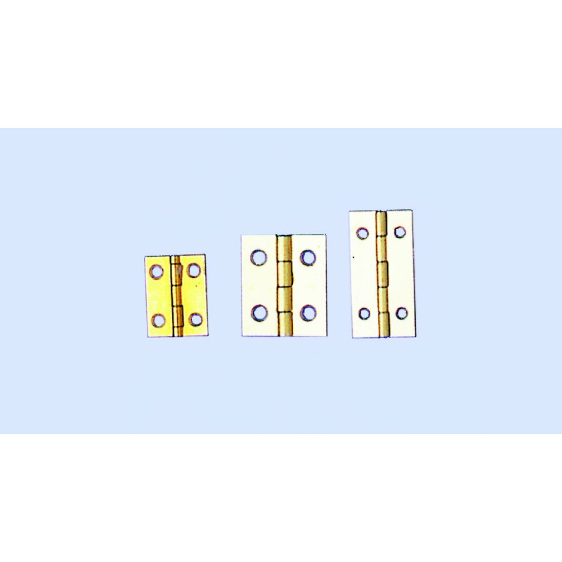 Charnière à vis - 4 pièces - x 20mm