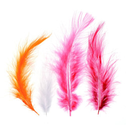 Plumes Marabout 2gr - Fushia