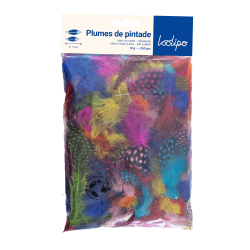 Plumes de pintade naturelles multicouleurs (x 10)