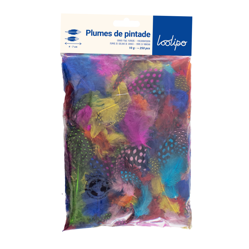Plumes de pintade naturelles multicouleurs (x 10)